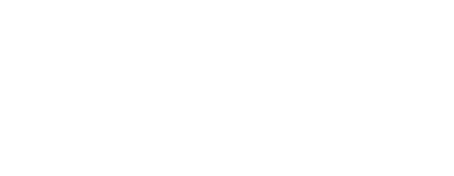 Commercial Partner